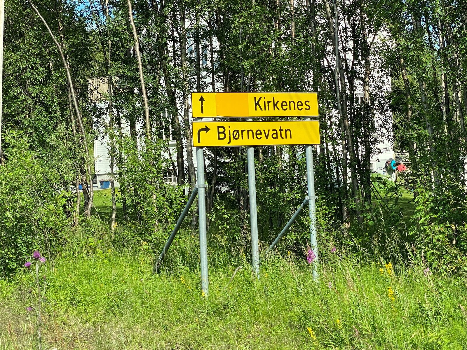Bjørnevatn 8