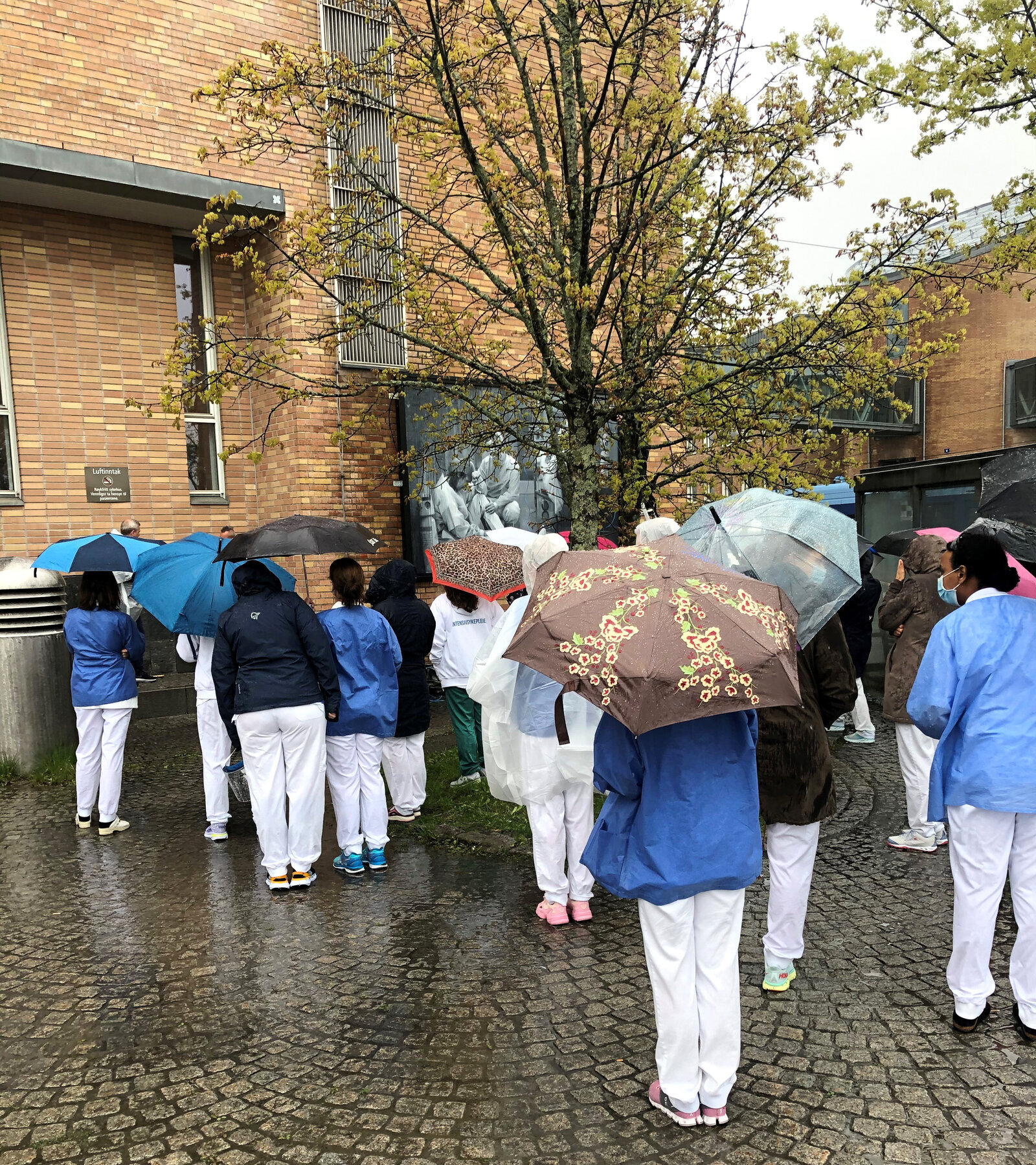 Avduking av sykepleieportrett