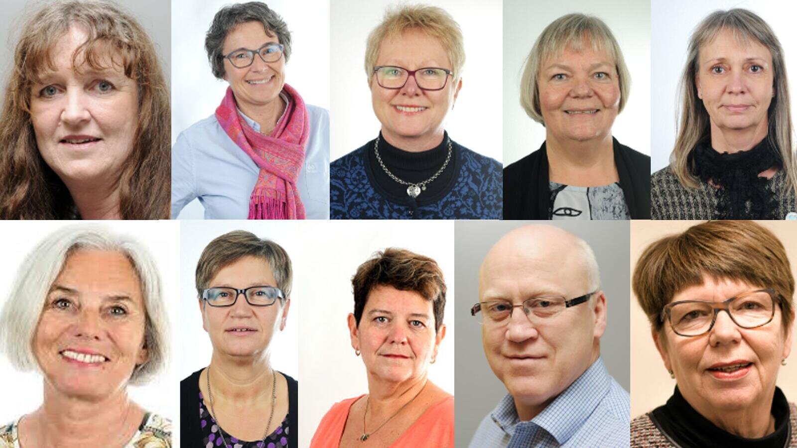 Fylkesledere collage