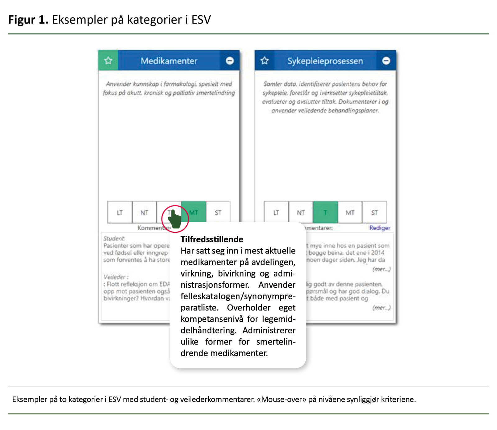 Figur 1. Eksempler på kategorier i ESV