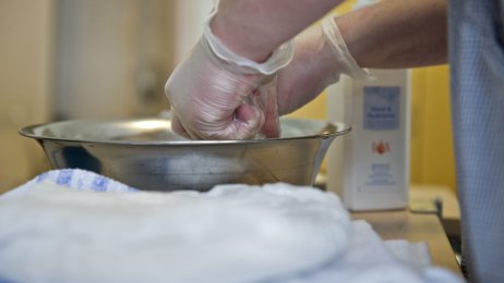 Stell, pleie, institusjon Bildet viser to hender med hansker som vrir opp en klut i et vaskevannsfat.