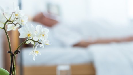 Mann i sykeseng Bildet viser en orkidé i forgrunnen og en mann liggende i sengen i bakgrunnen