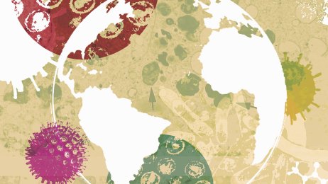 Jordklode Bildet viser en jordklode.