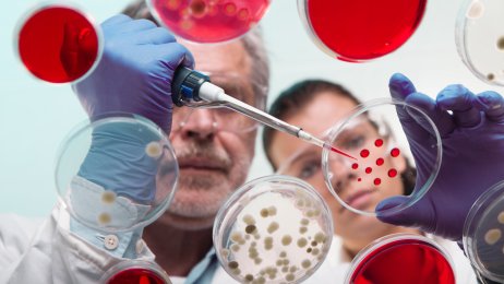 Legemidler Bildet viser to forskere i et laboratorium