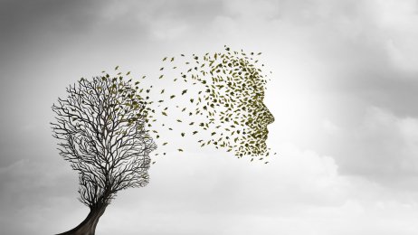 Aktiv dødshjelp Bildet viser et nakent tre formet som et hode. Løvet fra tree blir tatt av vinden