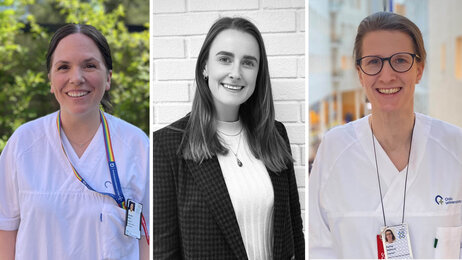 Bildet viser portretter av de tre innleggsforfatterne