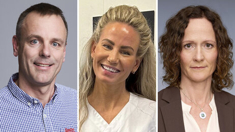 Bildet viser portrettbilder av innleggsforfatterne