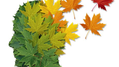 Alzheimer En visuell fremstilling av hva som kanskje skjer ved hjerneatrofi.