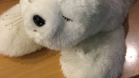 Robotselen Paro, emosjonell robot Bildet viser robotselen Paro.