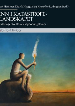 Bokomslag Inn i katastrofelandskapet