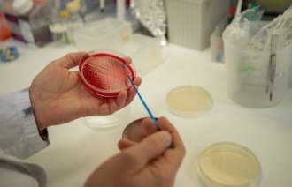 Stafylokokk, Universitetet i Tromsø Bildet viser hender og en petriskål.