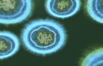 Bildet viser plasmider som inneholder små biter av arvemateriale.