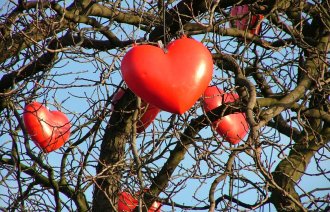 Røde hjerter som henger på et nakent tre