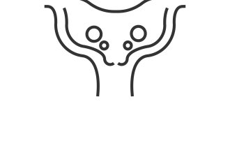 Tegningen viser en livmor med livmorhals.