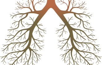 Illustrasjon av lunger i form av et tre med greiner