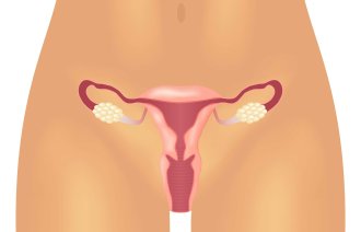 Bildet viser underdelen av en kvinnekropp, hvor det er tegnet inn reproduktive organer.