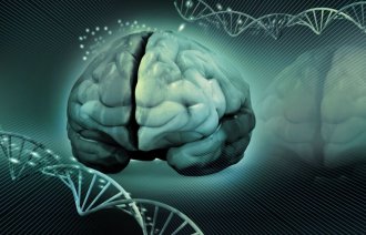 Bildet viser en illustrasjon av en hjerne og dna