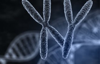 Bilde av et mannlig og kvinnelig kromoson