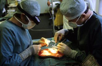 Bildet viser en nyretransplantasjon ved Rikshospitalet. To kirurger står over pasientens operasjonssår.