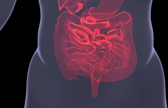 Dataillustrasjon av tarmen