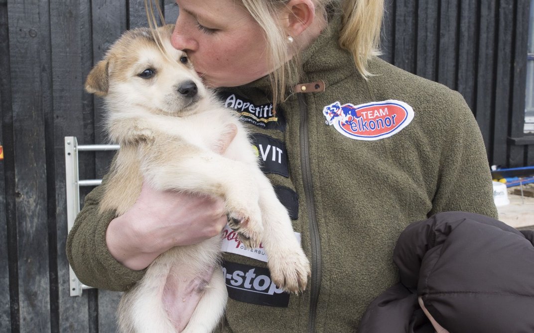 Birgitte koser med en av hvalpene
