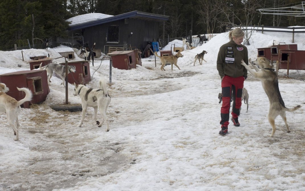 Birgitte ute i hundegården