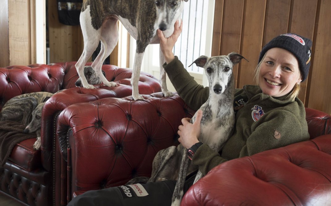 Bildet viser Birgitte Næss sammen med hennes tre whippeter.