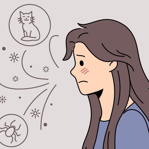 Illustrasjonen viser en kvinne og flere allergener.