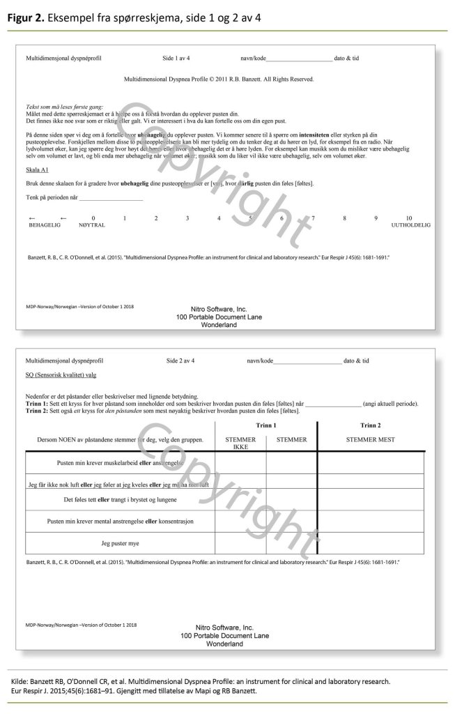 Figur 2. Eksempel fra spørreskjema, side 1 og 2 av 4 Figur 2. Eksempel fra spørreskjema, side 1 og 2 av 4