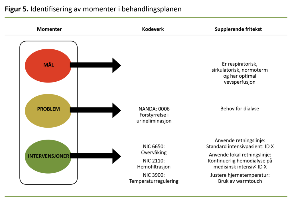 Figur 5. Identifisering av momenter i behandlingsplanen Figur 5. Identifisering av momenter i behandlingsplanen