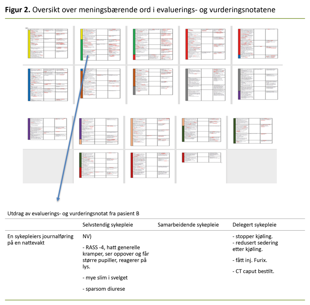 Figur 2. Oversikt over meningsbærende ord i evaluerings- og vurderingsnotatene Figur 2. Oversikt over meningsbærende ord i evaluerings- og vurderingsnotatene