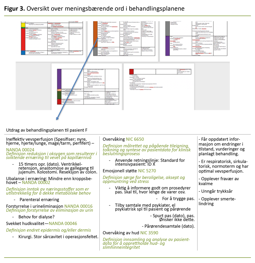 Figur 3. Oversikt over meningsbærende ord i behandlingsplanene Figur 3. Oversikt over meningsbærende ord i behandlingsplanene