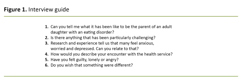 Figure 1. Interview guide