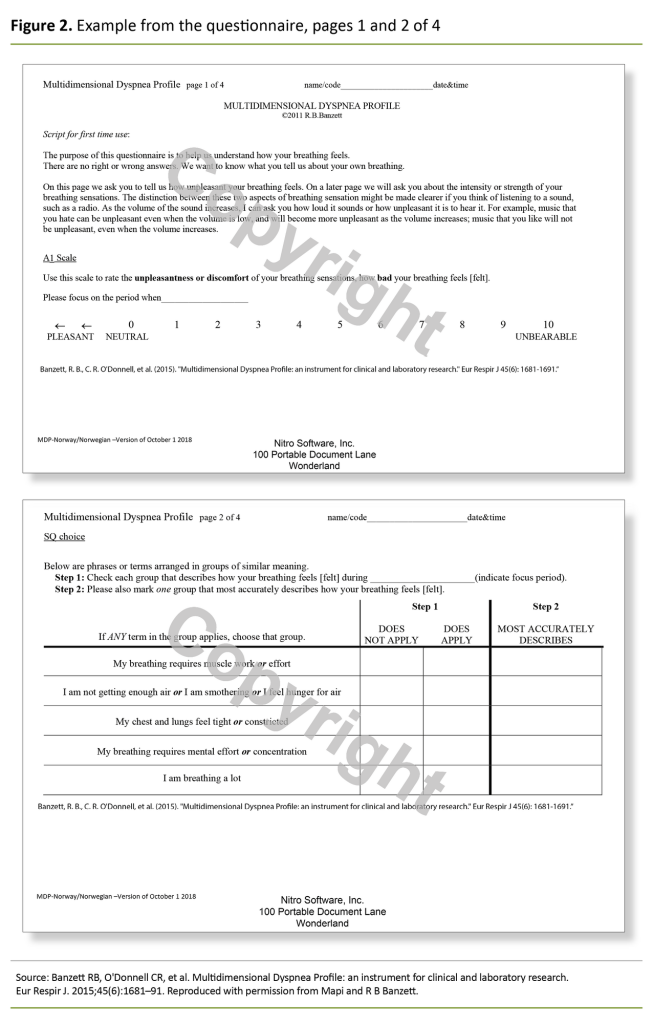 Figure 2. Example from the questionnaire, pages 1 and 2 of 4 Figure 2. Example from the questionnaire, pages 1 and 2 of 4