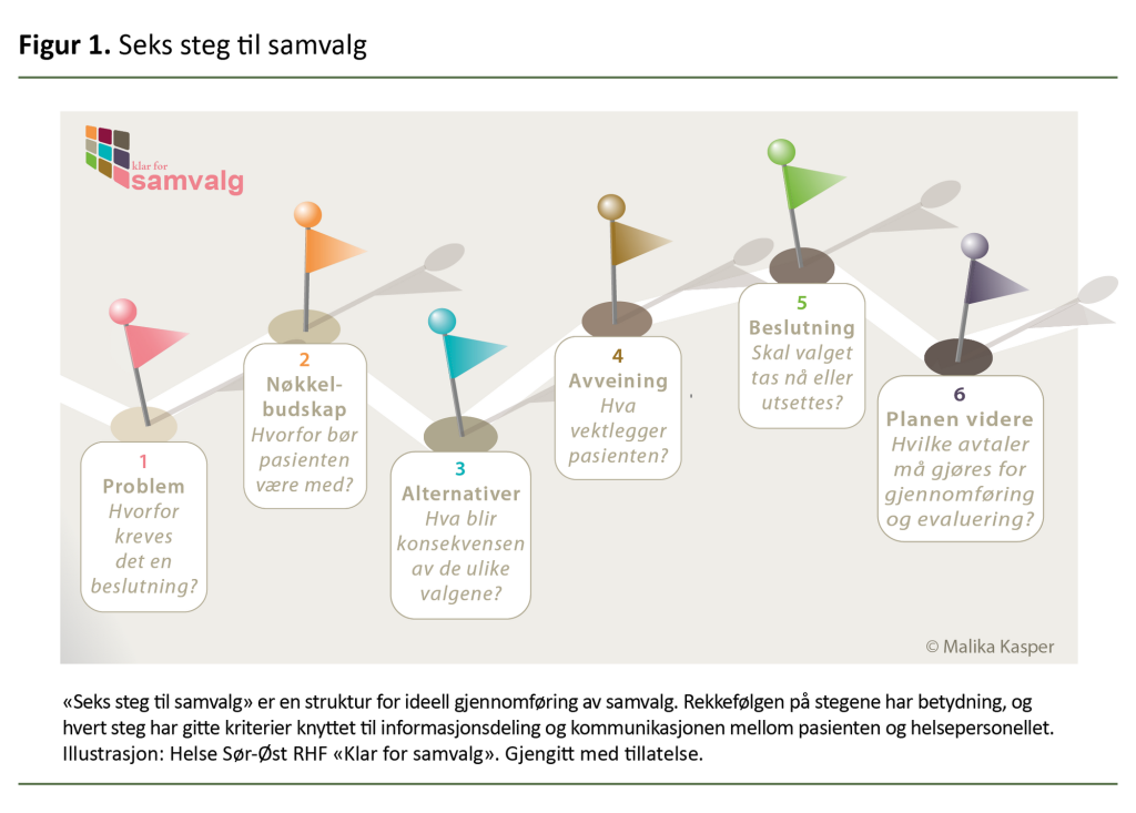 Figur 1. Seks steg til samvalg Figur 1. Seks steg til samvalg