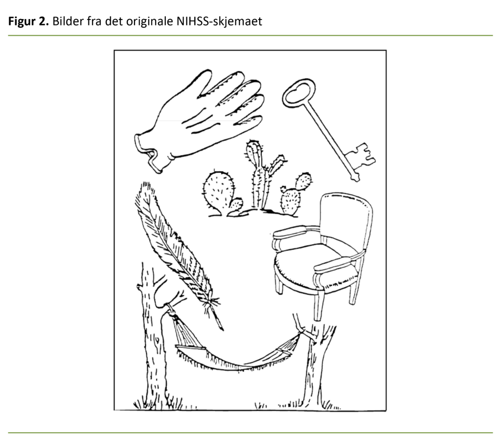 Figur 2. Bilder fra det originale NIHSS-skjemaet