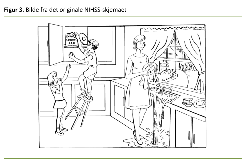 Figur 3. Bilde fra det originale NIHSS-skjemaet