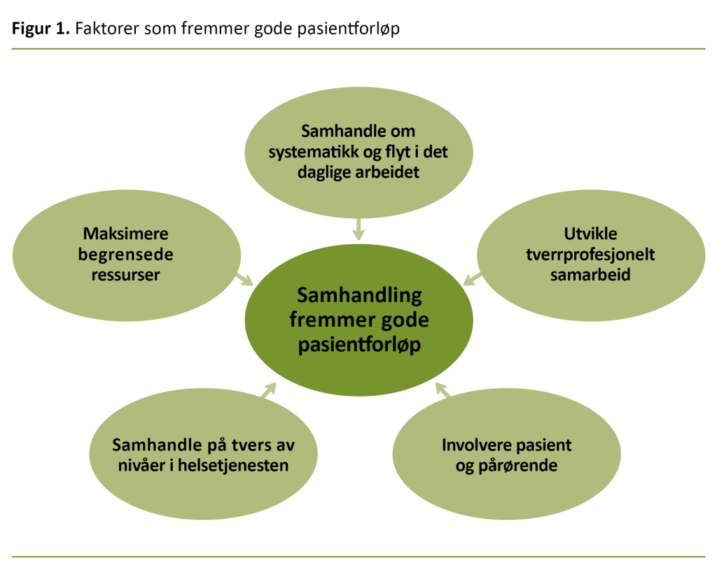 Figur 1. Faktorer som fremmer gode pasientforløp