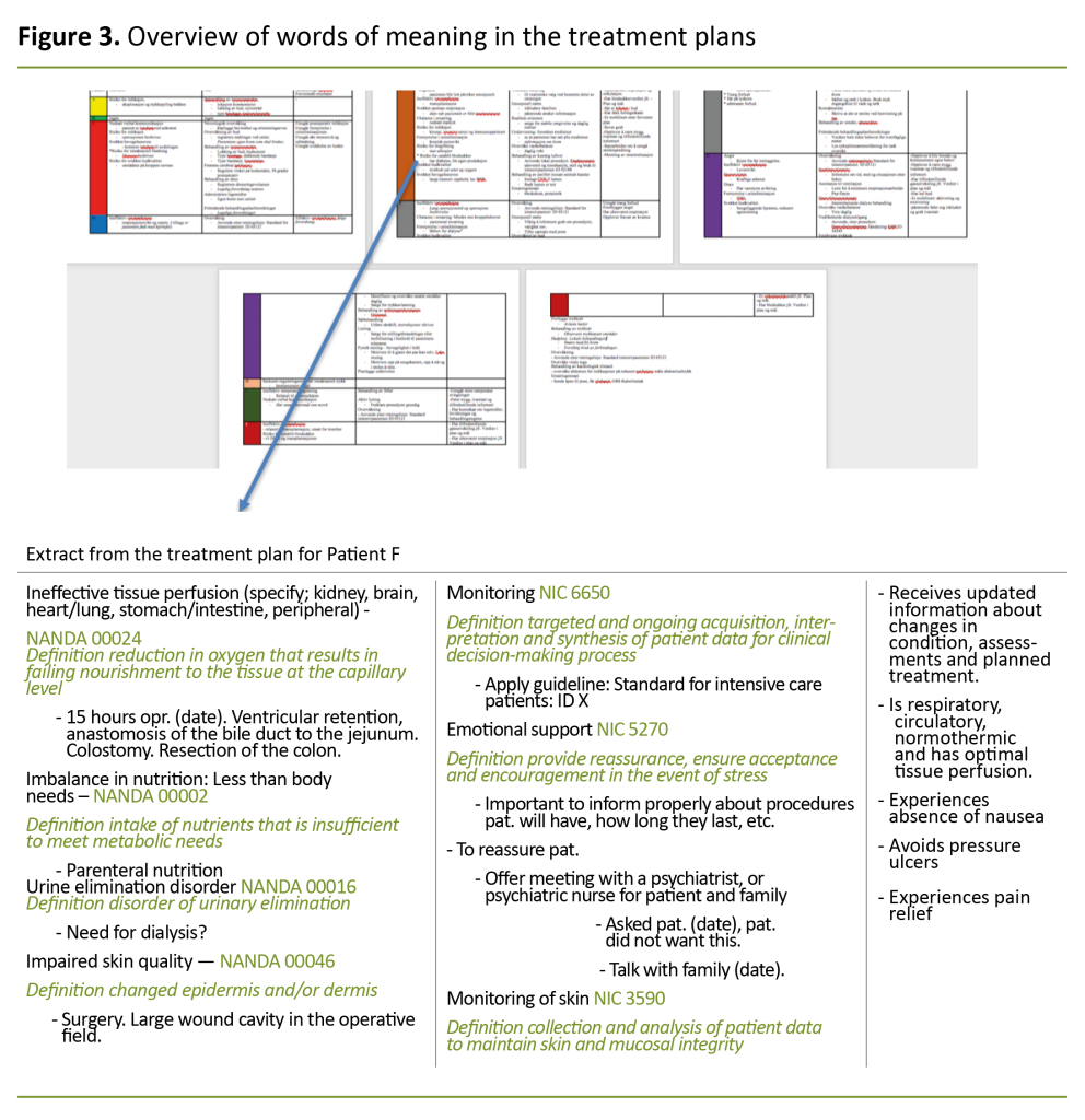 Figure 3. Overview of words of meaning in the treatment plans Figure 3. Overview of words of meaning in the treatment plans