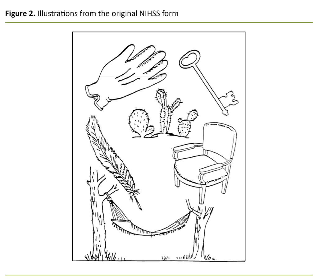 Figure 2. Illustrations from the original NIHSS form Figure 2. Illustrations from the original NIHSS form