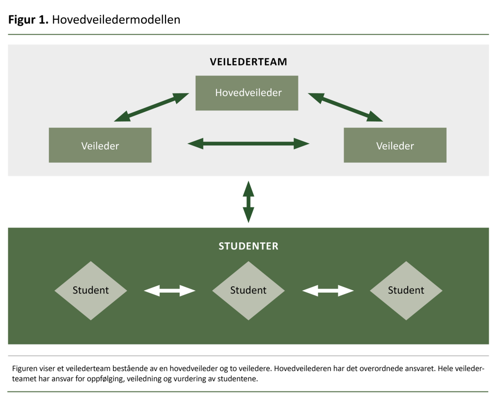 Figur 1. Hovedveiledermodellen. Figur 1. Hovedveiledermodellen.