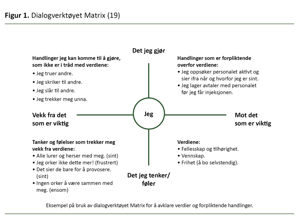 Figur 1. Dialogverktøyet Matrix (19) Figur 1. Dialogverktøyet Matrix (19)