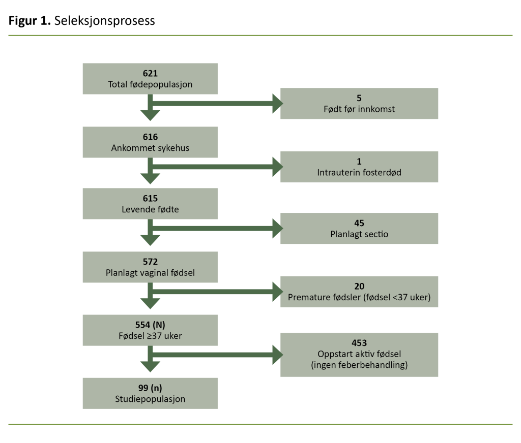 Figur 1. Seleksjonsprosess Figur 1. Seleksjonsprosess