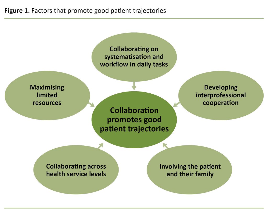 Figure 1. Factors that promote good patient trajectories 