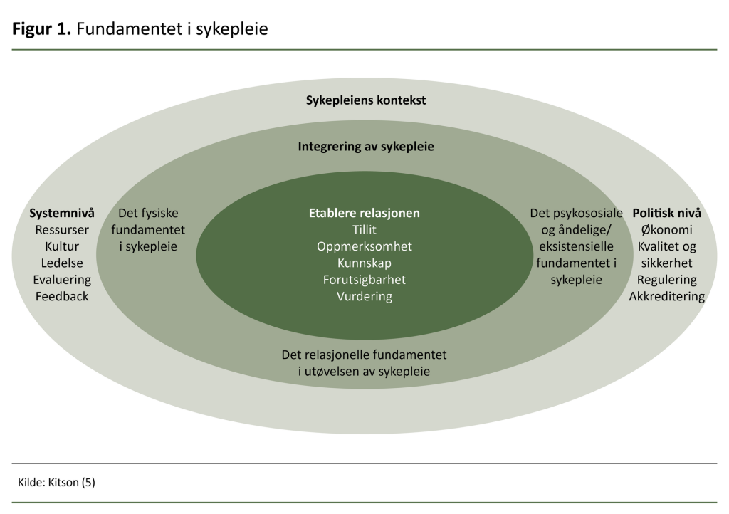 Figur 1. Fundamentet i sykepleie
