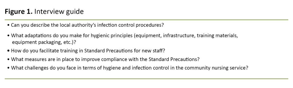 Figure 1. Interview guide Figure 1. Interview guide