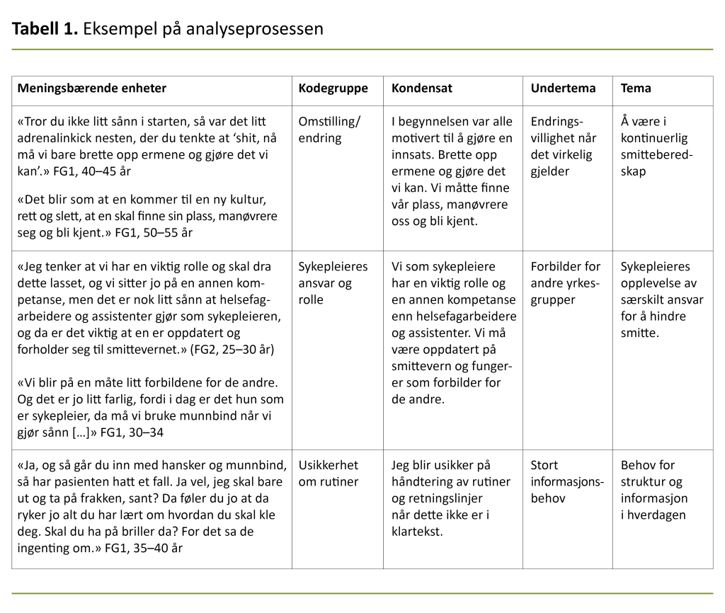 Tabell 1. Eksempel på analyseprosessen