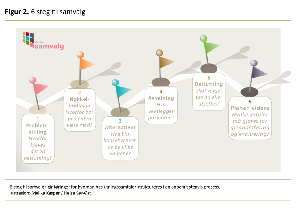 Figur 2. 6 steg til samvalg Figur 2. 6 steg til samvalg