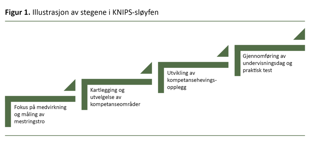 Figur 1. Illustrasjon av stegene i KNIPS-sløyfen.