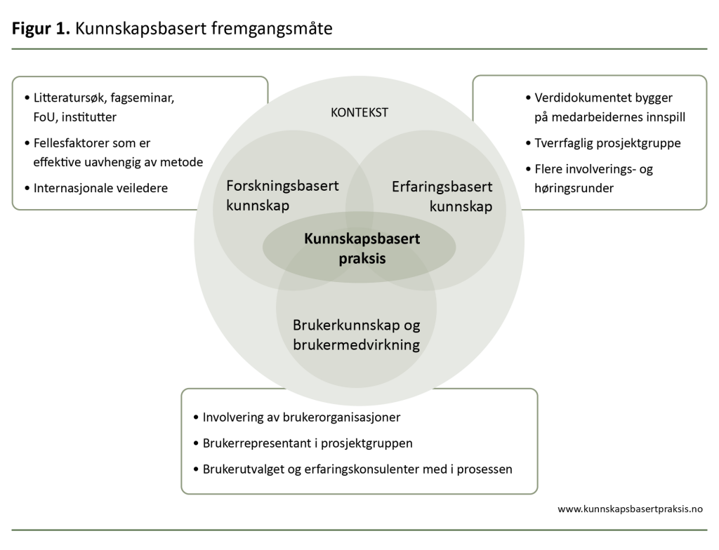 Figur 1. Kunnskapsbasert fremgangsmåte Figur 1. Kunnskapsbasert fremgangsmåte
